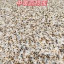 白城黄金麻中黄荔枝面