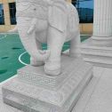 白城 白麻花岗岩动物异形石雕-大象