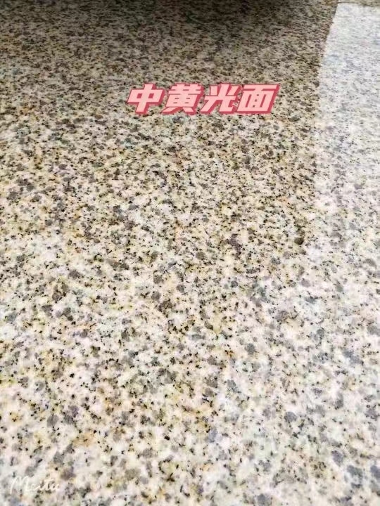 白城黄金麻中黄光面